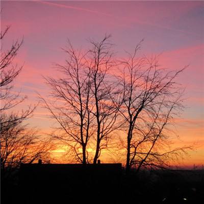 beat365中国在线体育手机app下载